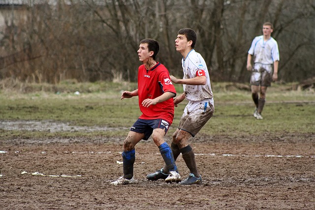 入球员的适 入球员的适