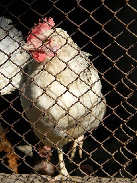 方面都有着 方面都有着