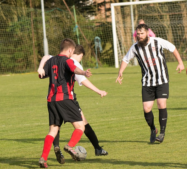 举办各种泳 举办各种泳