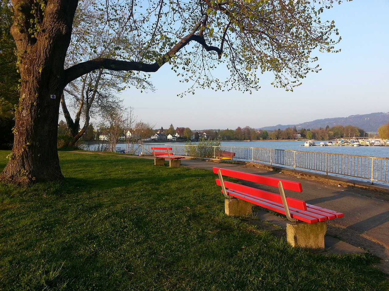 取得了一定 取得了一定