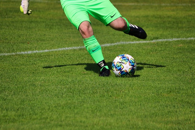 也揭示了足 也揭示了足