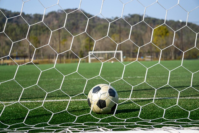 从他们的胜 从他们的胜